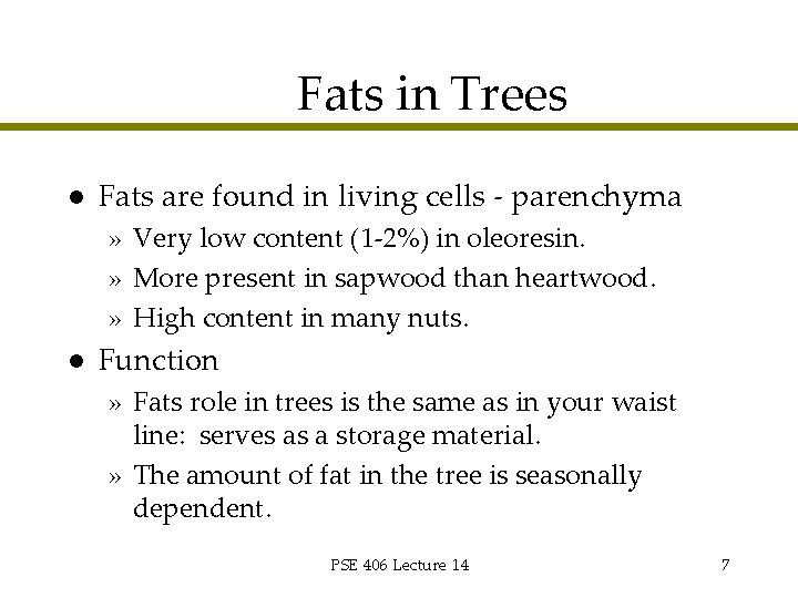Fats in Trees l Fats are found in living cells - parenchyma » Very