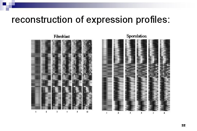 reconstruction of expression profiles: 32 