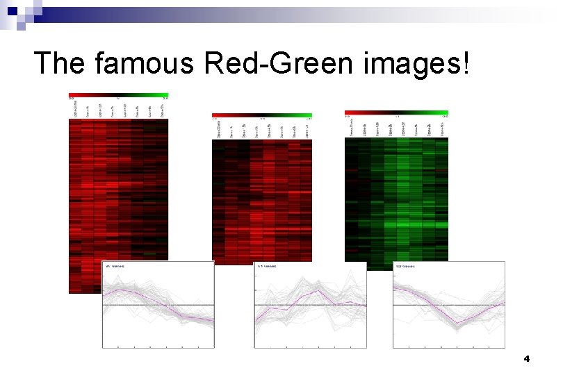 The famous Red-Green images! 4 