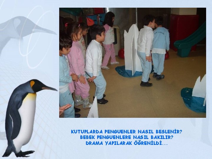 KUTUPLARDA PENGUENLER NASIL BESLENİR? BEBEK PENGUENLERE NASIL BAKILIR? DRAMA YAPILARAK ÖĞRENİLDİ. . . 