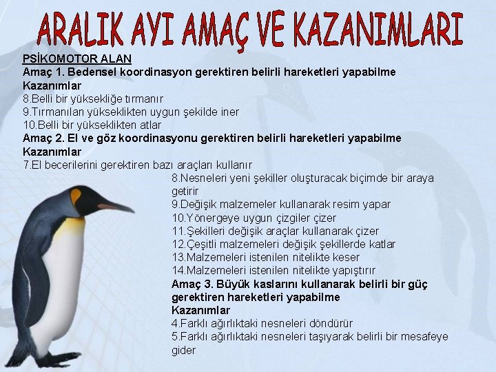 PSİKOMOTOR ALAN Amaç 1. Bedensel koordinasyon gerektiren belirli hareketleri yapabilme Kazanımlar 8. Belli bir