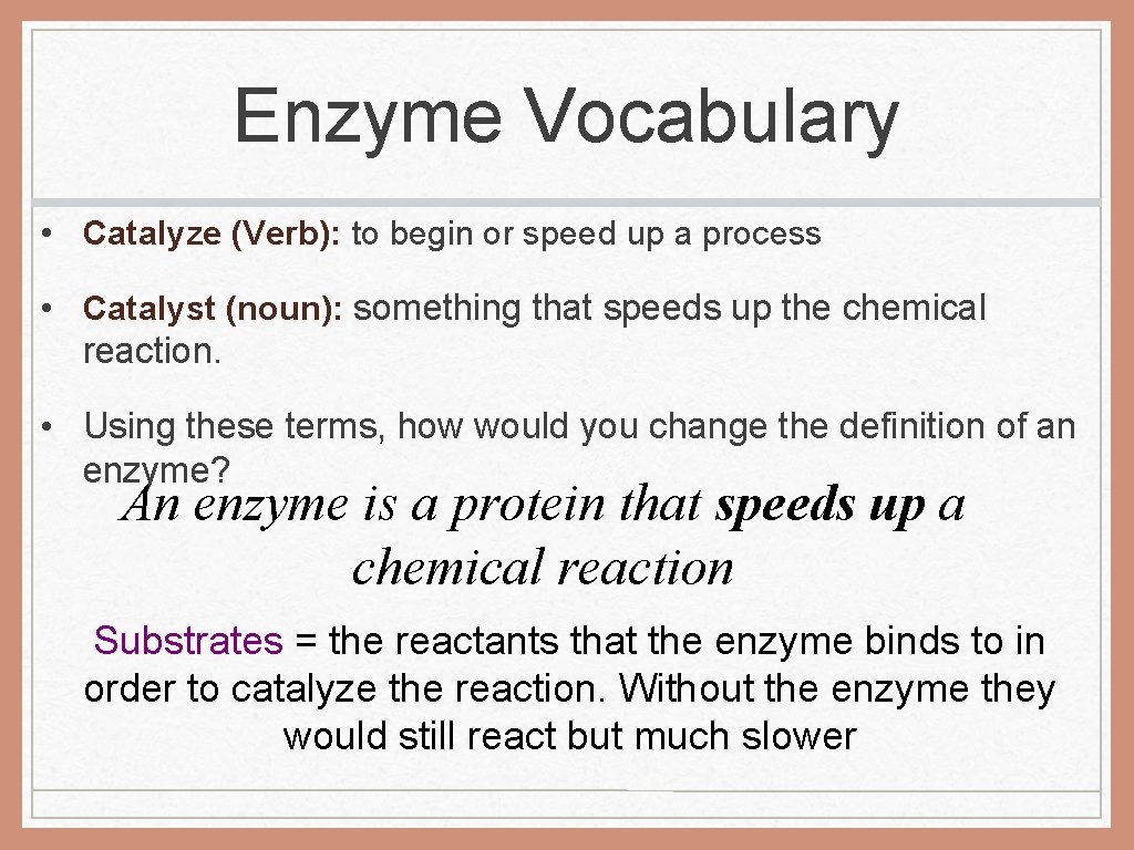 Enzyme Vocabulary • Catalyze (Verb): to begin or speed up a process • Catalyst