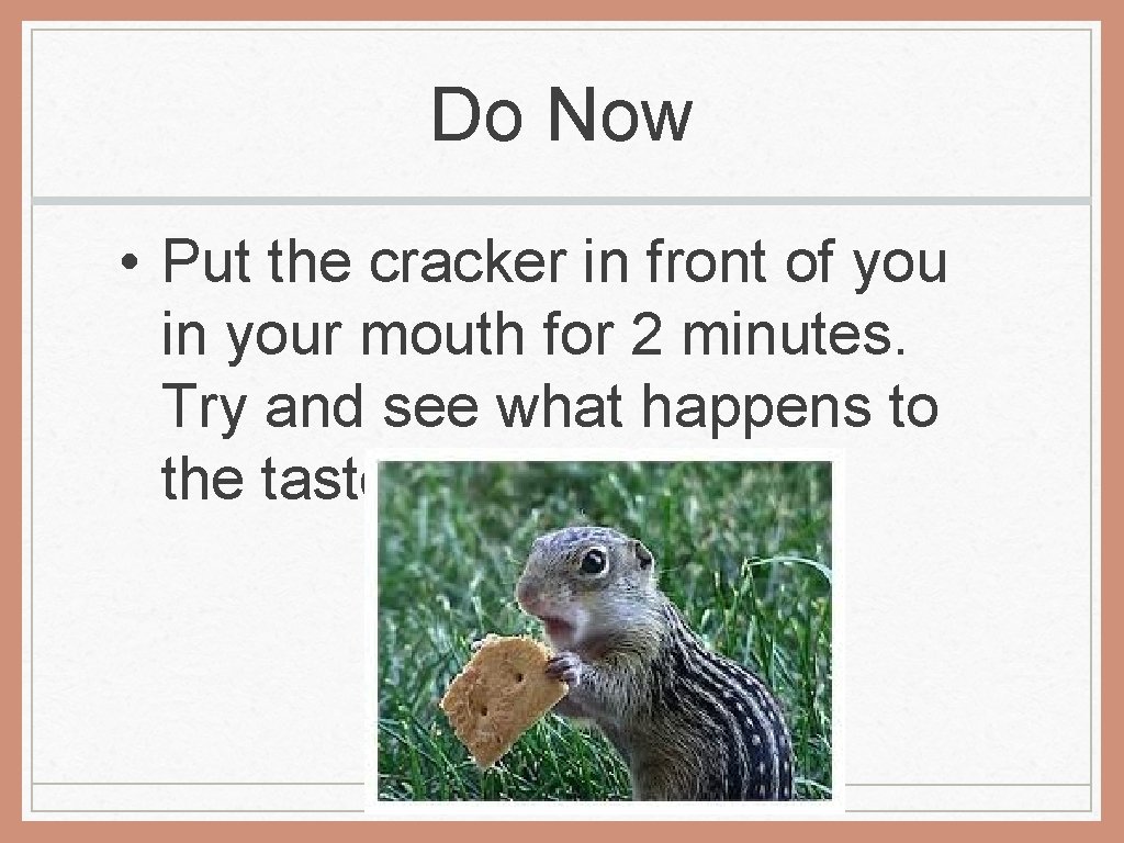 Do Now • Put the cracker in front of you in your mouth for