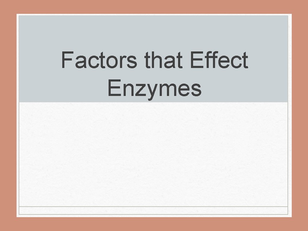 Factors that Effect Enzymes 