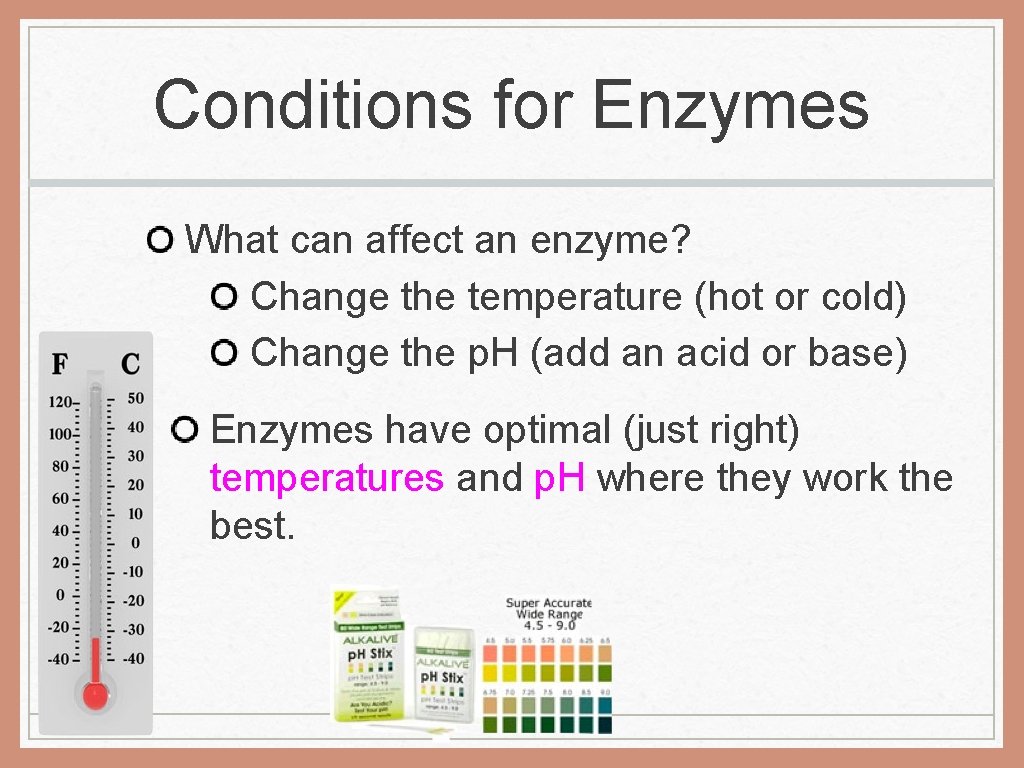 Conditions for Enzymes What can affect an enzyme? Change the temperature (hot or cold)