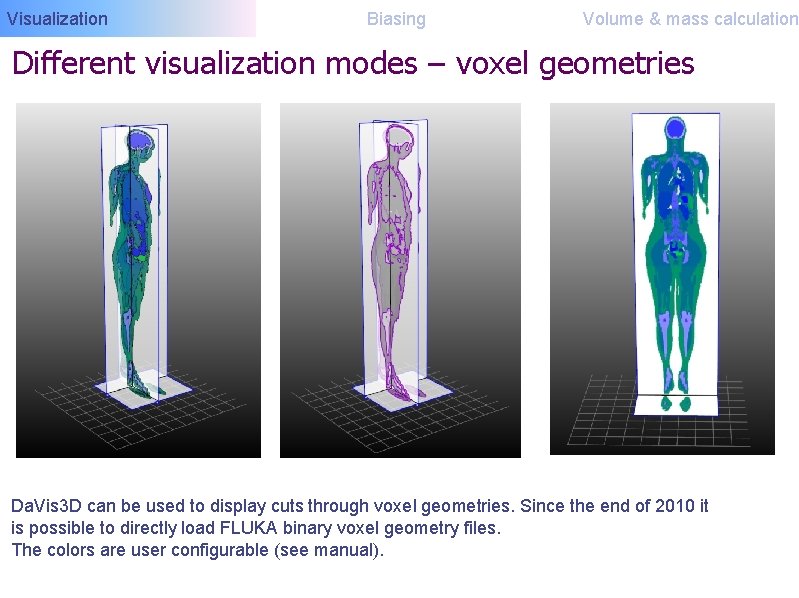 Visualization Biasing Volume & mass calculation Different visualization modes – voxel geometries Da. Vis