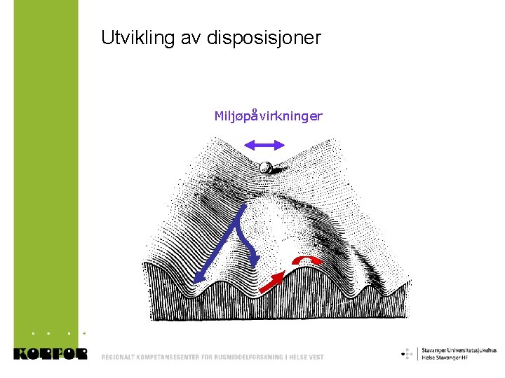 Utvikling av disposisjoner Miljøpåvirkninger 