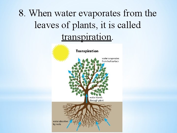 8. When water evaporates from the leaves of plants, it is called transpiration. 