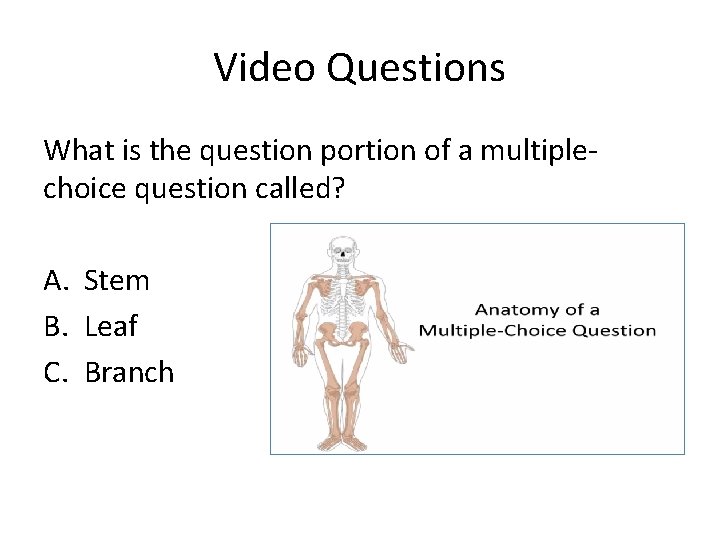 Video Questions What is the question portion of a multiplechoice question called? A. Stem