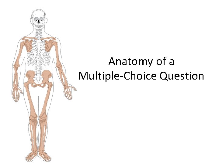 Anatomy of a Multiple-Choice Question 