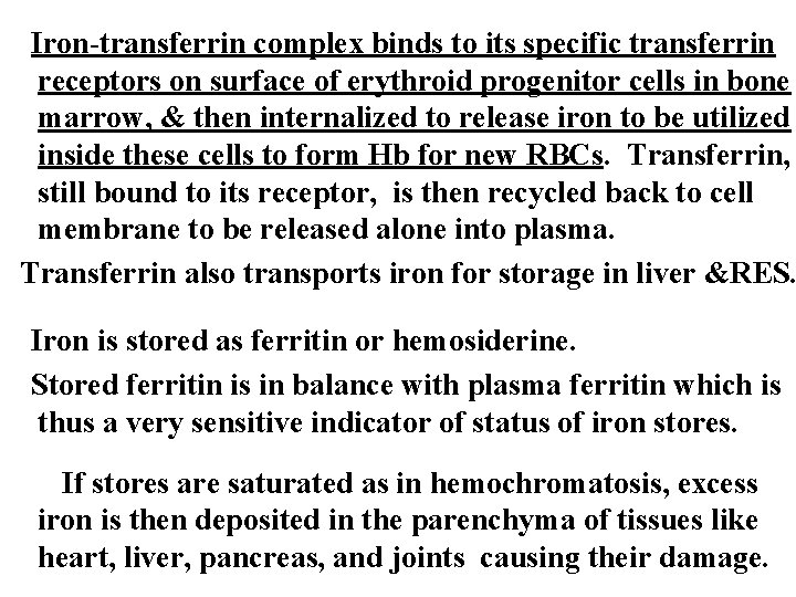 Iron-transferrin complex binds to its specific transferrin receptors on surface of erythroid progenitor cells Iron-transferrin complex binds to its specific transferrin receptors on surface of erythroid progenitor cells
