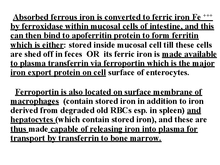 Absorbed ferrous iron is converted to ferric iron Fe +++ by ferroxidase within mucosal Absorbed ferrous iron is converted to ferric iron Fe +++ by ferroxidase within mucosal