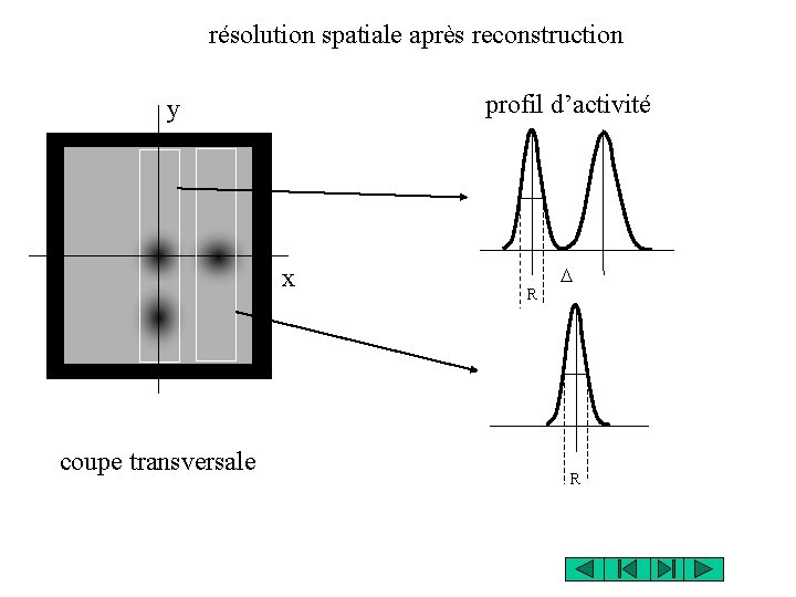 résolution spatiale après reconstruction profil d’activité y x coupe transversale R D R 