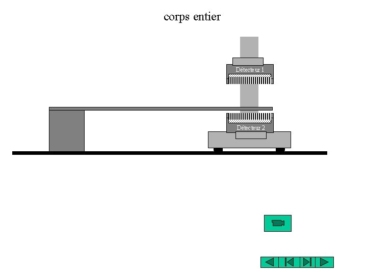 corps entier Détecteur 1 Détecteur 2 