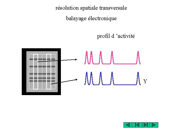 résolution spatiale transversale balayage électronique profil d ’activité Y 