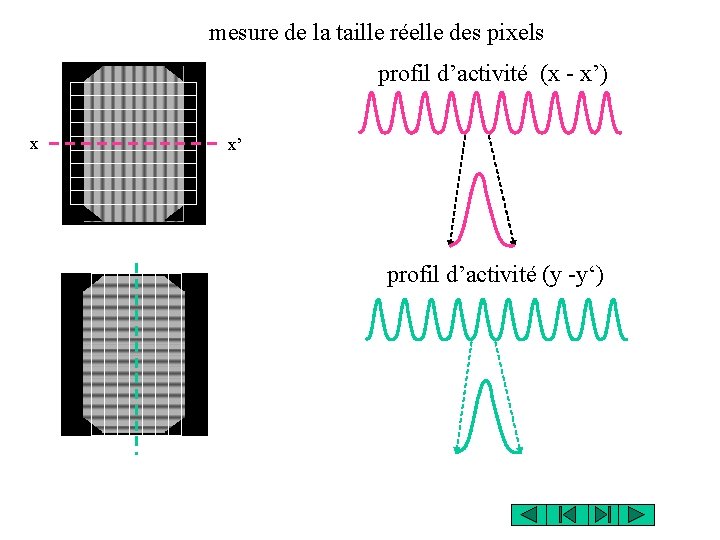 mesure de la taille réelle des pixels profil d’activité (x - x’) x x’