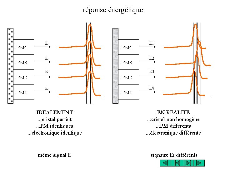 réponse énergétique PM 4 PM 3 E E PM 4 PM 3 PM 1