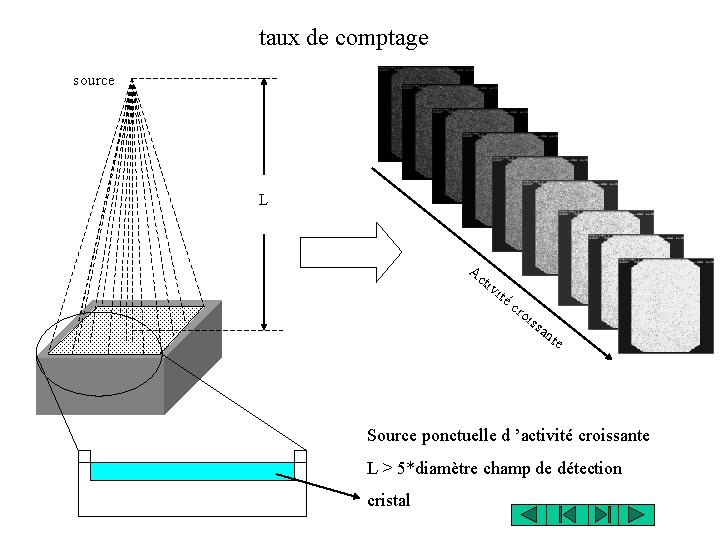 taux de comptage source L Ac ti vit éc ro iss a nte Source