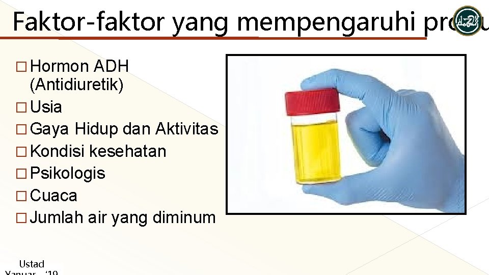 Faktor-faktor yang mempengaruhi produ � Hormon ADH (Antidiuretik) � Usia � Gaya Hidup dan Faktor-faktor yang mempengaruhi produ � Hormon ADH (Antidiuretik) � Usia � Gaya Hidup dan