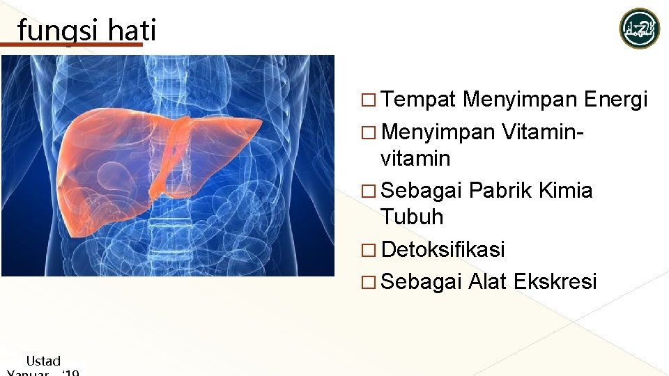 fungsi hati � Tempat Menyimpan Energi � Menyimpan Vitaminvitamin � Sebagai Pabrik Kimia Tubuh fungsi hati � Tempat Menyimpan Energi � Menyimpan Vitaminvitamin � Sebagai Pabrik Kimia Tubuh