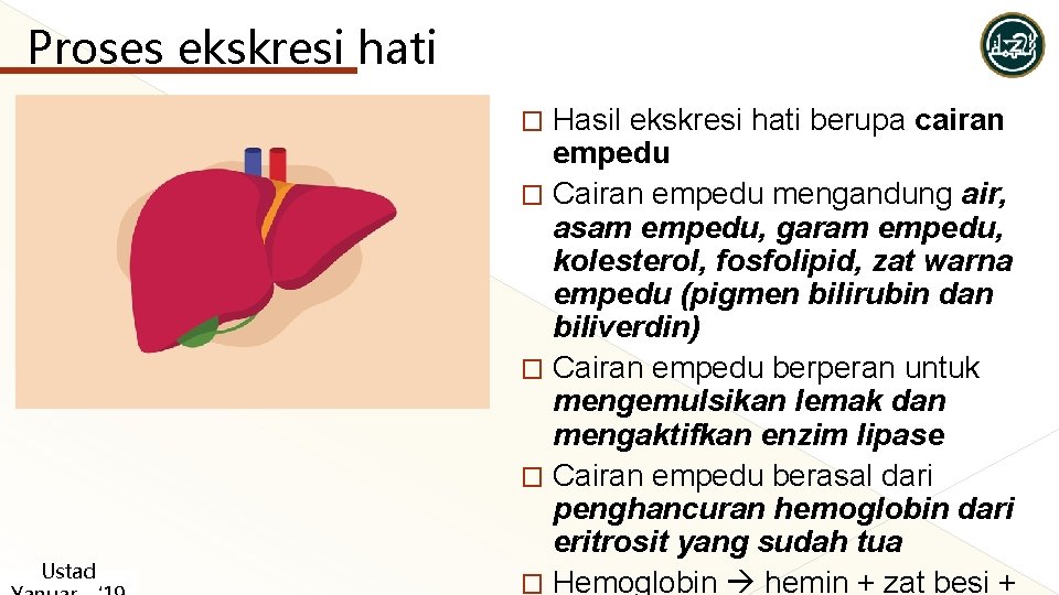 Proses ekskresi hati Hasil ekskresi hati berupa cairan empedu � Cairan empedu mengandung air, Proses ekskresi hati Hasil ekskresi hati berupa cairan empedu � Cairan empedu mengandung air,