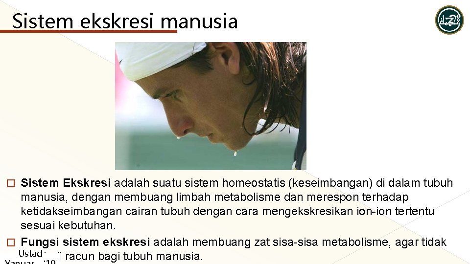 Sistem ekskresi manusia Sistem Ekskresi adalah suatu sistem homeostatis (keseimbangan) di dalam tubuh manusia, Sistem ekskresi manusia Sistem Ekskresi adalah suatu sistem homeostatis (keseimbangan) di dalam tubuh manusia,