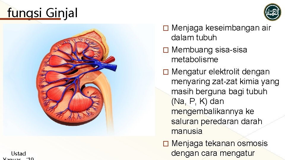 fungsi Ginjal Menjaga keseimbangan air dalam tubuh � Membuang sisa-sisa metabolisme � Mengatur elektrolit fungsi Ginjal Menjaga keseimbangan air dalam tubuh � Membuang sisa-sisa metabolisme � Mengatur elektrolit