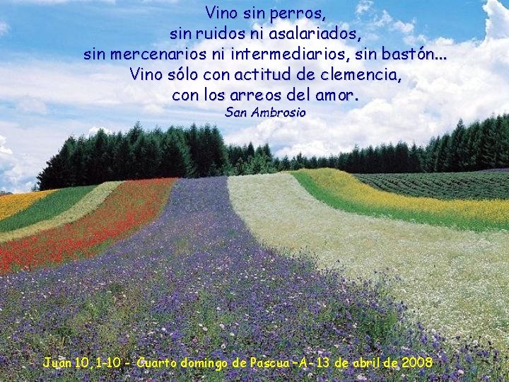 Vino sin perros, sin ruidos ni asalariados, sin mercenarios ni intermediarios, sin bastón. .