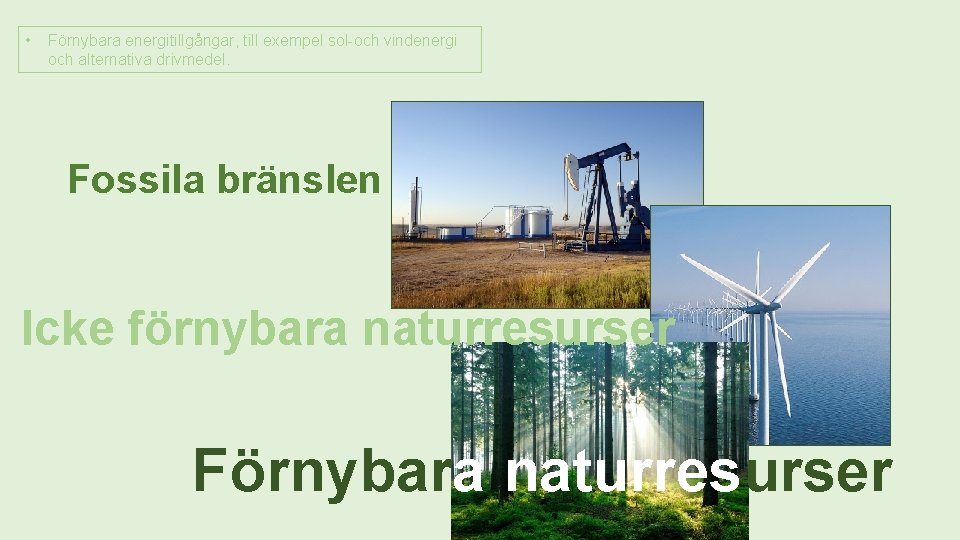  • Förnybara energitillgångar, till exempel sol-och vindenergi och alternativa drivmedel. Fossila bränslen Icke