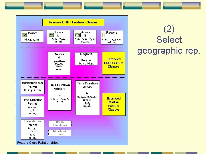 (2) Select geographic rep. 