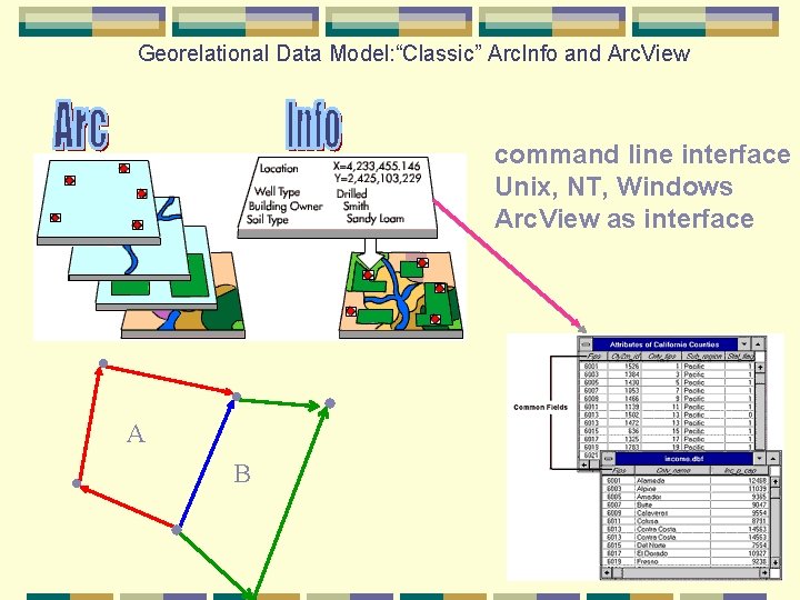 Georelational Data Model: “Classic” Arc. Info and Arc. View command line interface Unix, NT,