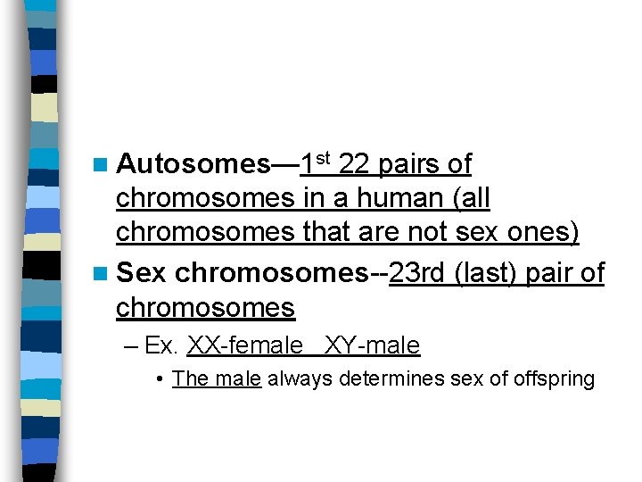 n Autosomes— 1 st 22 pairs of chromosomes in a human (all chromosomes that