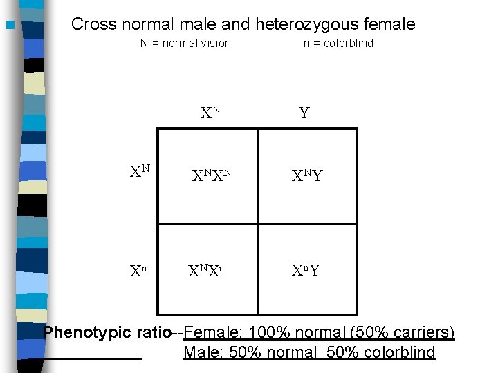 n Cross normal male and heterozygous female N = normal vision n = colorblind