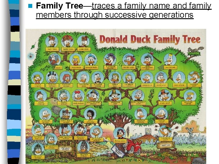 n Family Tree—traces a family name and family members through successive generations 