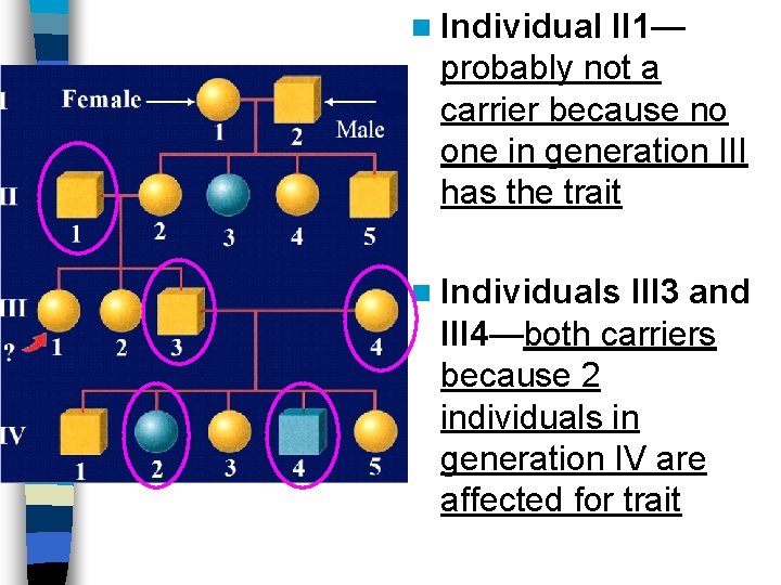 n Individual II 1— probably not a carrier because no one in generation III