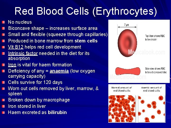 Red Blood Cells (Erythrocytes) No nucleus Biconcave shape – increases surface area Small and