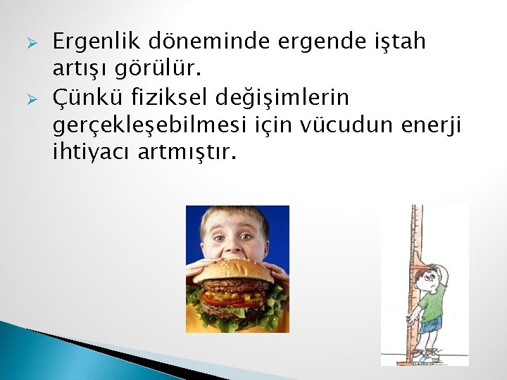 Ø Ø Ergenlik döneminde ergende iştah artışı görülür. Çünkü fiziksel değişimlerin gerçekleşebilmesi için vücudun