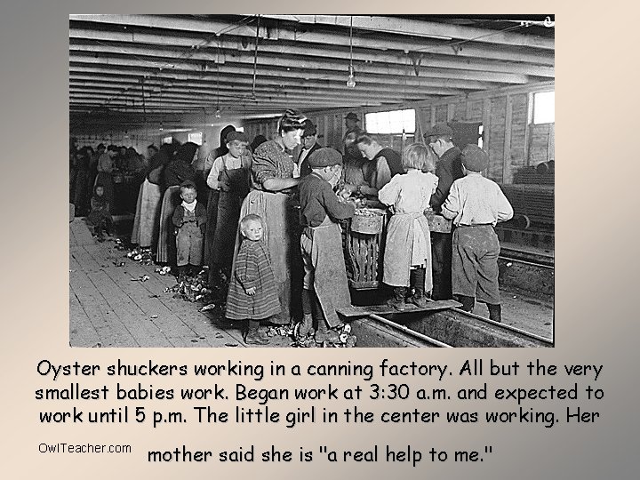 Oyster shuckers working in a canning factory. All but the very smallest babies work.