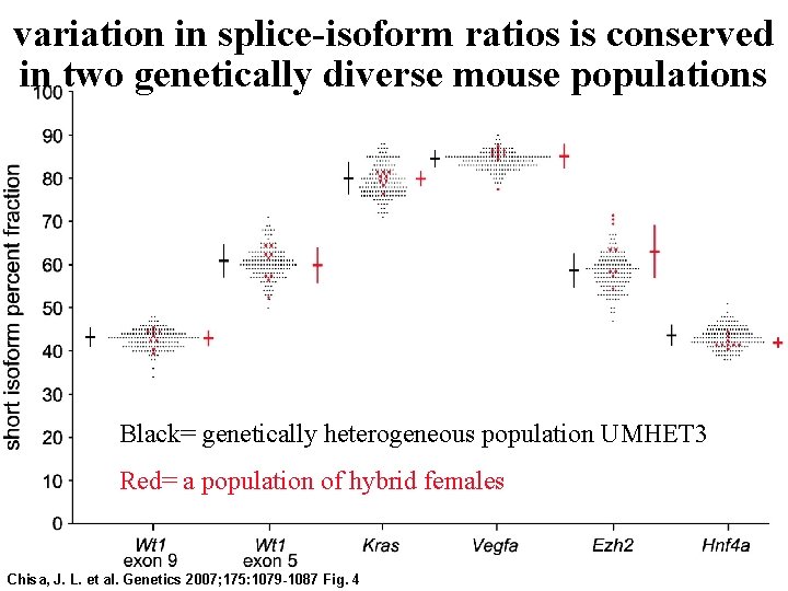 variation in splice-isoform ratios is conserved in two genetically diverse mouse populations Black= genetically