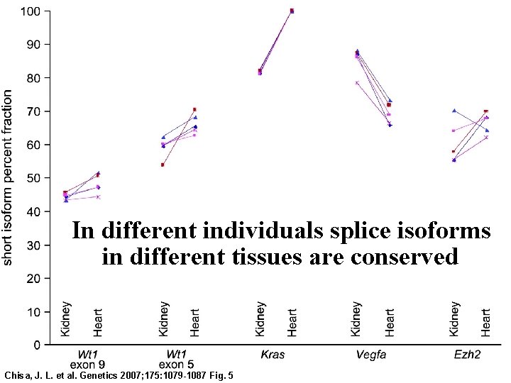 In different individuals splice isoforms in different tissues are conserved Chisa, J. L. et