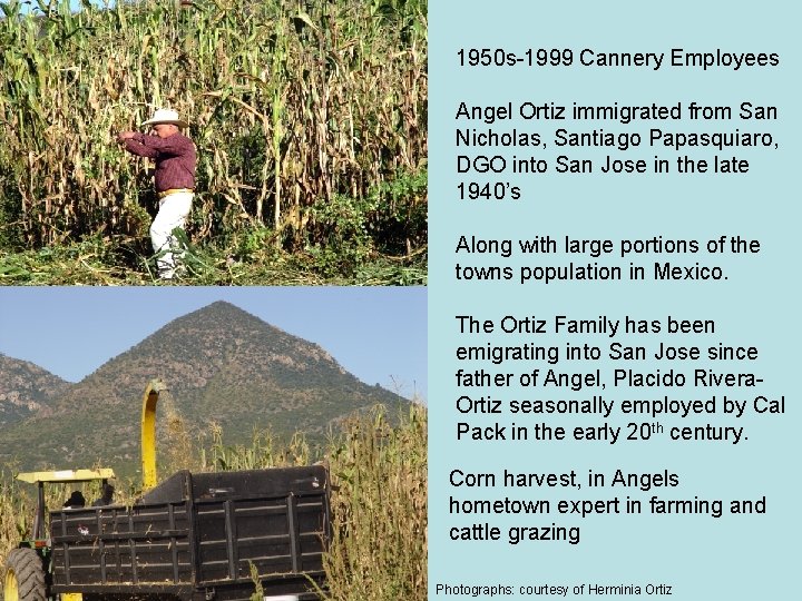 1950 s-1999 Cannery Employees Angel Ortiz immigrated from San Nicholas, Santiago Papasquiaro, DGO into