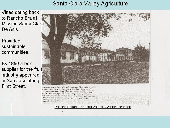 Santa Clara Valley Agriculture Vines dating back to Rancho Era at Mission Santa Clara Santa Clara Valley Agriculture Vines dating back to Rancho Era at Mission Santa Clara