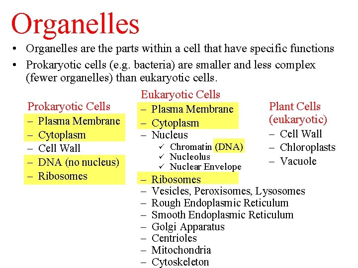 Organelles • Organelles are the parts within a cell that have specific functions •