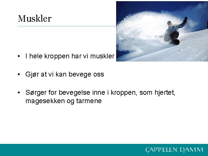 Muskler • I hele kroppen har vi muskler • Gjør at vi kan bevege