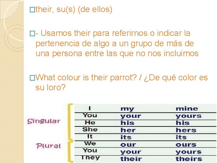 �their, su(s) (de ellos) �- Usamos their para referirnos o indicar la pertenencia de