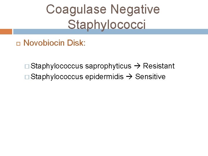 Coagulase Negative Staphylococci Novobiocin Disk: � Staphylococcus saprophyticus Resistant � Staphylococcus epidermidis Sensitive Coagulase Negative Staphylococci Novobiocin Disk: � Staphylococcus saprophyticus Resistant � Staphylococcus epidermidis Sensitive