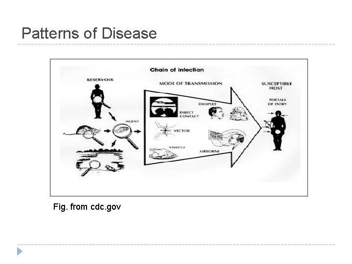 Patterns of Disease Fig. from cdc. gov 