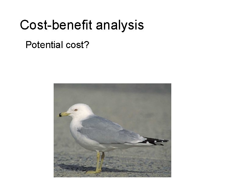 Cost-benefit analysis Potential cost? 