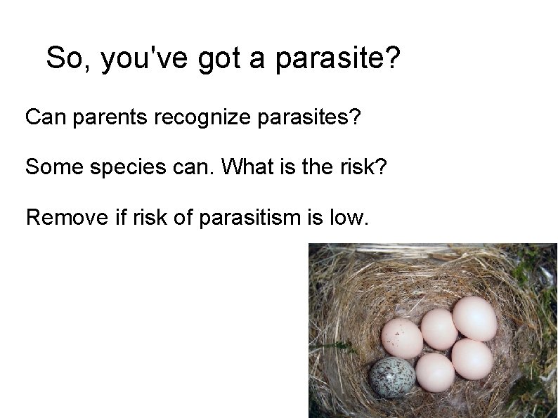 So, you've got a parasite? Can parents recognize parasites? Some species can. What is