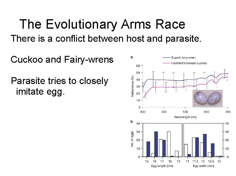 The Evolutionary Arms Race There is a conflict between host and parasite. Cuckoo and